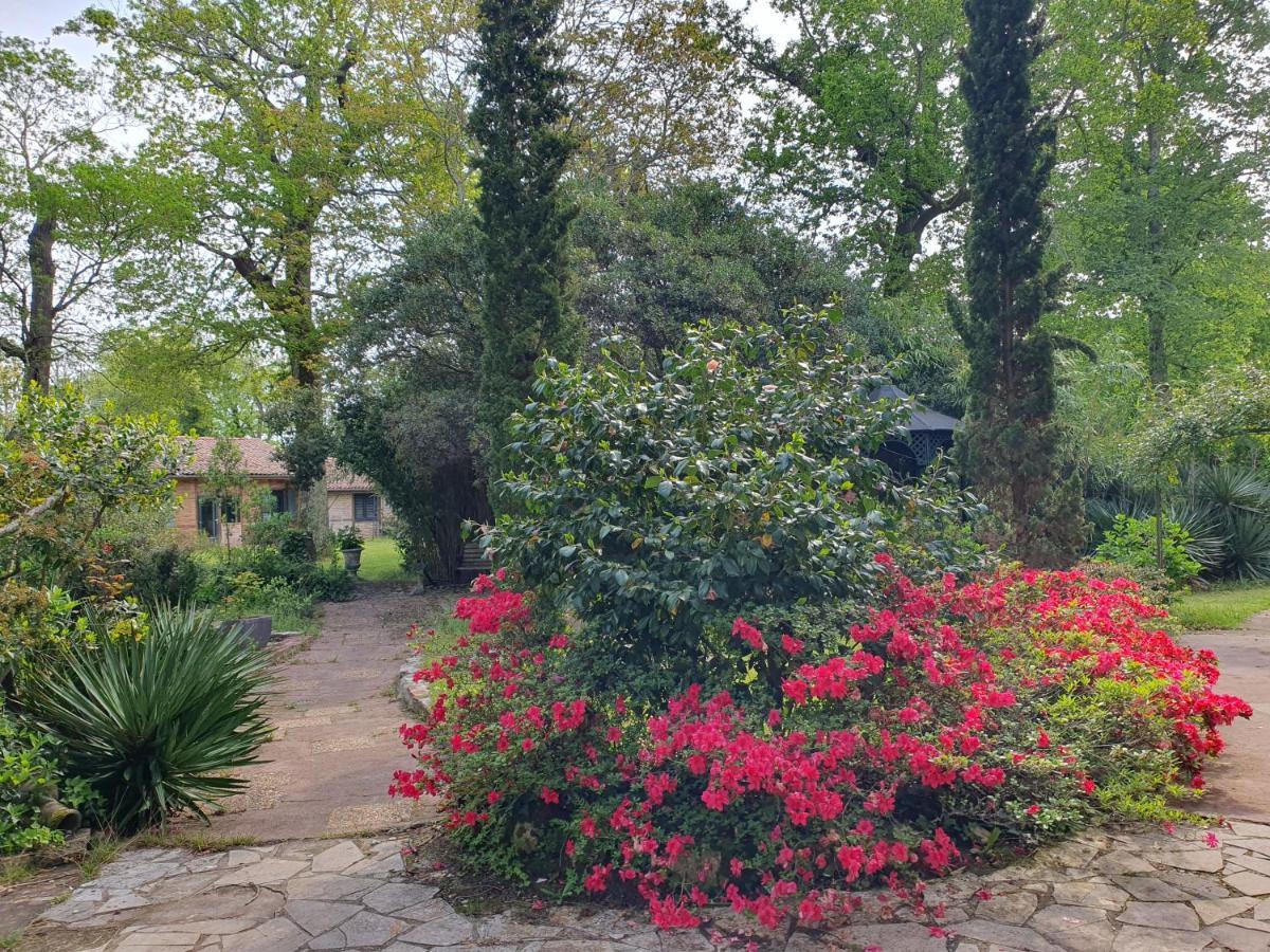 Lesperon  Manoir De Tireveste المظهر الخارجي الصورة